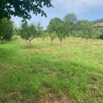 Парцел в с. Петко Славейков, Област Габрово - 1730 кв.м за 4 €/кв.м - Снимка #1