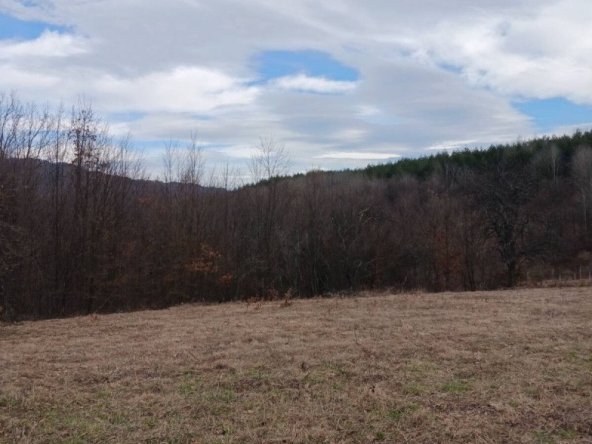 Парцел в Априлци - 19300 кв.м за 3 €/кв.м - Снимка #1