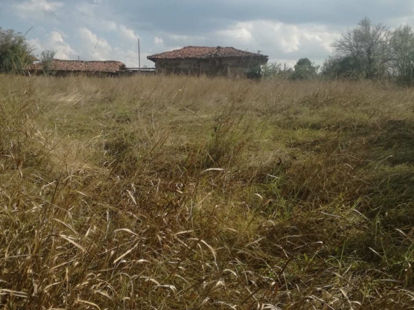 Парцел в с. Сава, Област Варна - 960 кв.м за 6 €/кв.м - Снимка #1