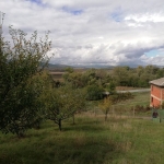 Парцел в с. Велковци, Област Перник - 870 кв.м за 15 €/кв.м - Снимка #1