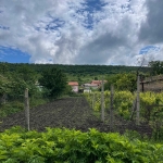 Парцел в Варна, м-т Акчелар - 440 кв.м за 20 €/кв.м - Снимка #1