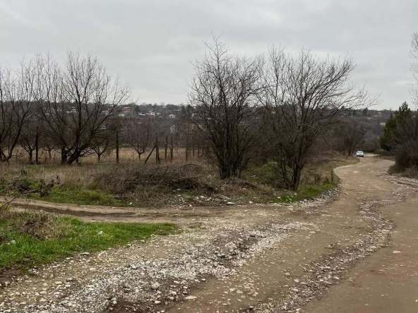 Парцел в Търговище, Вилна зона - 4227 кв.м за 12 €/кв.м - Снимка #1