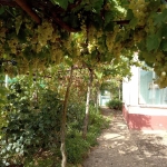 Къща в с. Станево, Област Монтана - 100 кв.м за 77 €/кв.м - Снимка #1