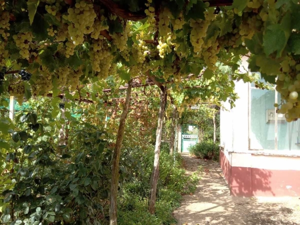 Къща в с. Станево, Област Монтана - 100 кв.м за 77 €/кв.м - Снимка #1