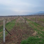 Парцел в Куклен - 33096 кв.м за 11 €/кв.м - Снимка #1