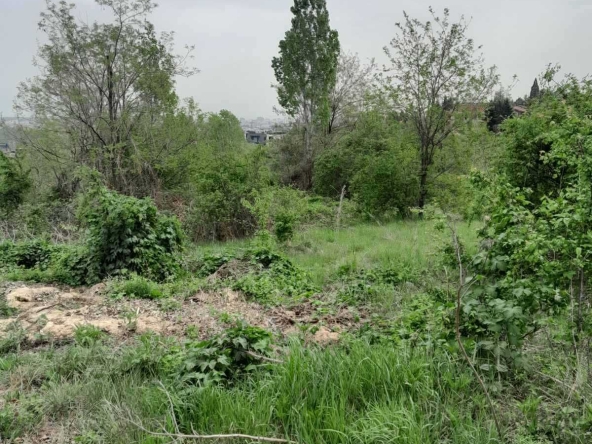 Парцел в София, Бояна - 950 кв.м за 243 €/кв.м - Снимка #1