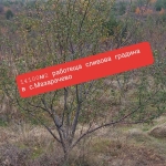 Земеделски имот в с. Мазарачево, Област Кюстендил -  кв.м за 2733 €/дка - Снимка #1