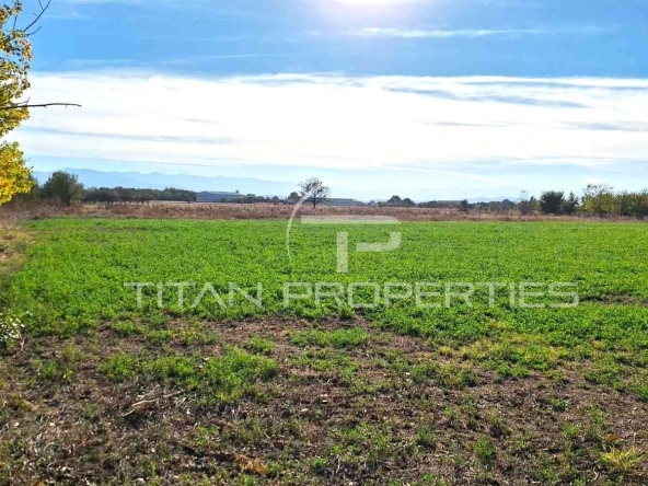 Парцел в с. Цалапица, Област Пловдив - 4755 кв.м за 9 €/кв.м - Снимка #1