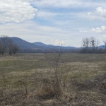 Парцел в с. Чешма, Област Велико Търново - 9998 кв.м за 3 €/кв.м - Снимка #1