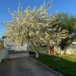 Дава се под наем Къща в с. Мировяне, Област София-град - 200 кв.м за 1390 € - Снимка #1