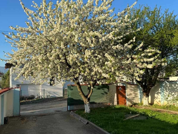 Дава се под наем Къща в с. Мировяне, Област София-град - 200 кв.м за 1390 € - Снимка #1