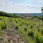 Парцел в Аксаково - 2851 кв.м за 43 €/кв.м - Снимка #1