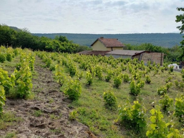 Парцел в Аксаково - 2851 кв.м за 43 €/кв.м - Снимка #1