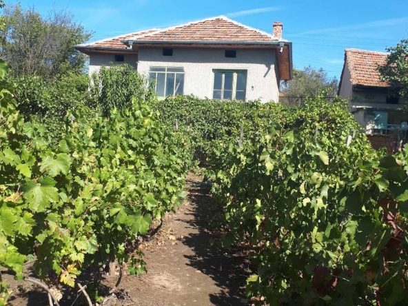 Къща в Свищов - 44 кв.м за 174 €/кв.м - Снимка #1