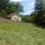 Парцел в с. Дръмша, Област София-област - 2045 кв.м за 11 €/кв.м - Снимка #1