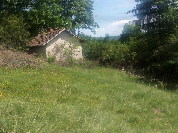 Парцел в с. Дръмша, Област София-област - 2045 кв.м за 11 €/кв.м - Снимка #1