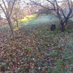 Парцел в Разград, Промишлена зона - Запад - 600 кв.м за 43 €/кв.м - Снимка #1