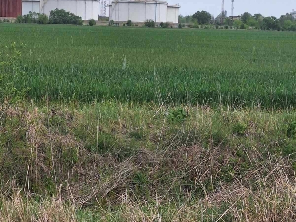 Парцел в Пловдив, Индустриална зона - Север - 7962 кв.м за 19 €/кв.м - Снимка #1