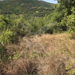 Парцел в с. Мраченик, Област Пловдив - 915 кв.м за 13 €/кв.м - Снимка #1