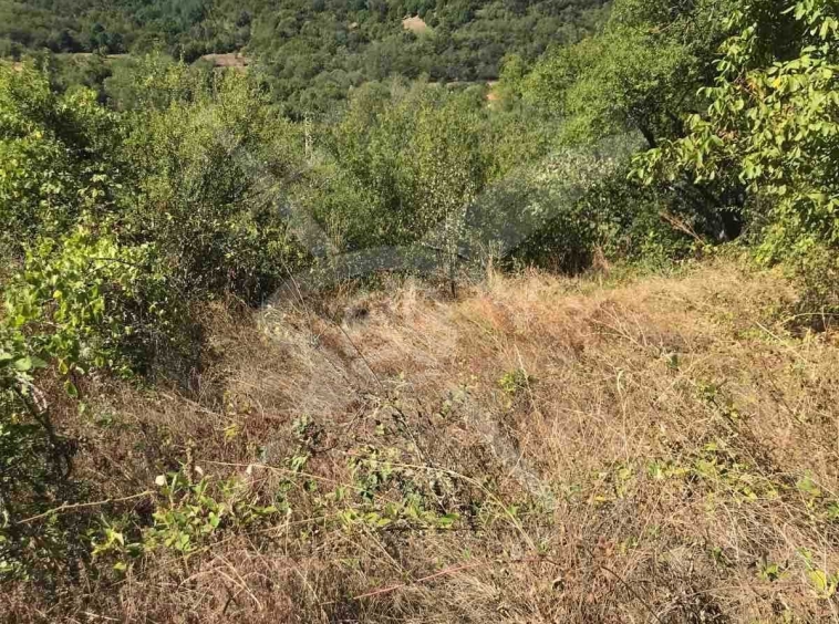 Парцел в с. Мраченик, Област Пловдив - 915 кв.м за 13 €/кв.м - Снимка #1