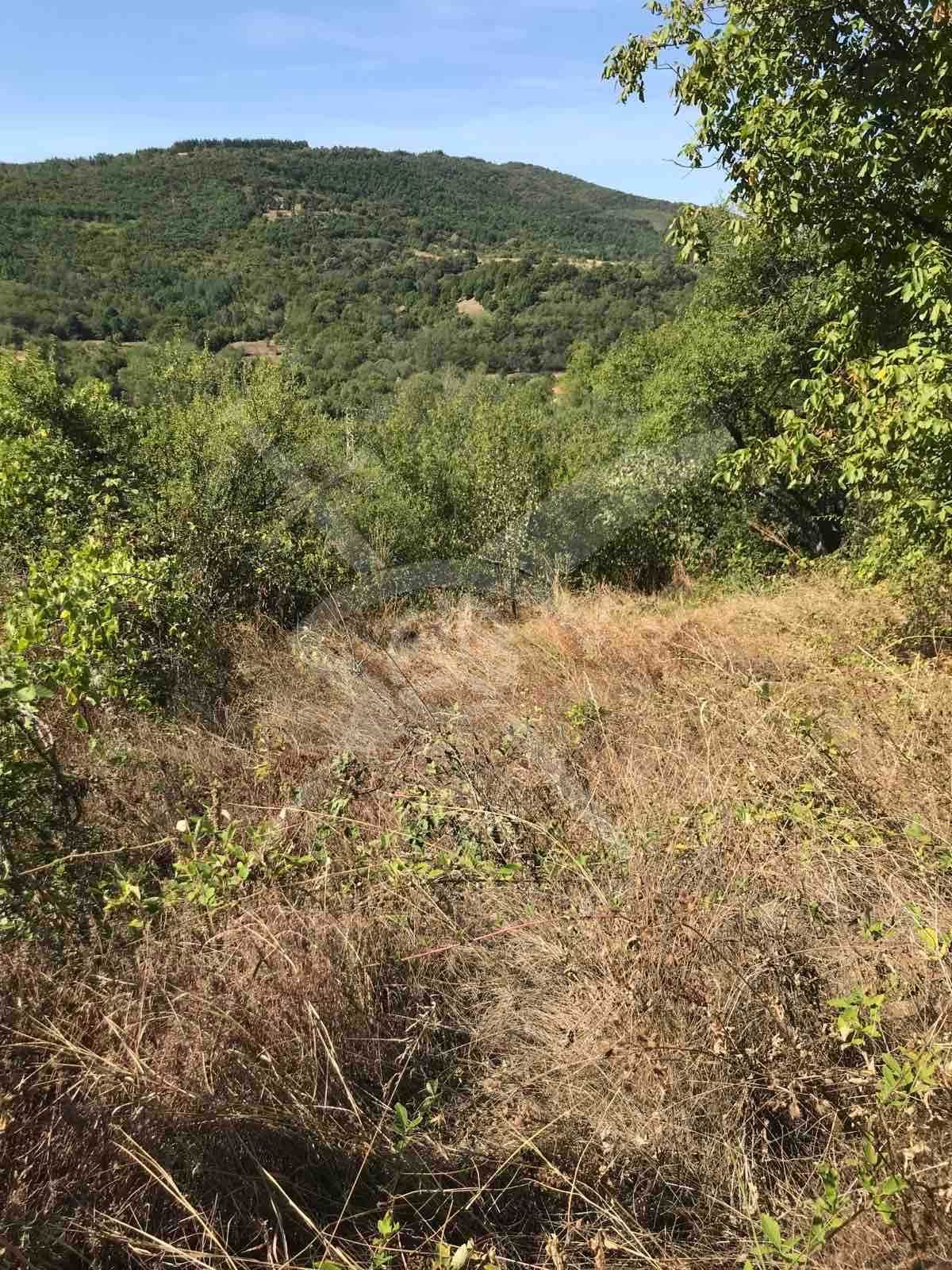 Парцел в с. Мраченик, Област Пловдив - 915 кв.м за 13 €/кв.м - Снимка #1