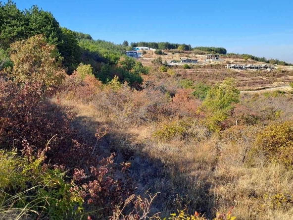 Парцел в с. Брестовица, Област Пловдив - 950 кв.м за 7 €/кв.м - Снимка #1