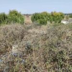 Парцел в Бургас, Център - 901 кв.м за 45 €/кв.м - Снимка #1