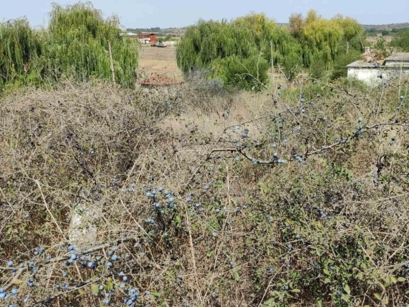 Парцел в Бургас, Център - 901 кв.м за 45 €/кв.м - Снимка #1