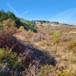 Парцел в с. Брестовица, Област Пловдив - 1937 кв.м за 11 €/кв.м - Снимка #1