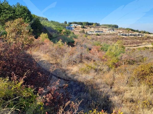 Парцел в с. Брестовица, Област Пловдив - 1937 кв.м за 11 €/кв.м - Снимка #1