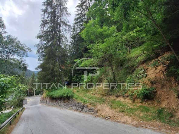 Парцел в с. Проглед, Област Смолян - 2048 кв.м за 31 €/кв.м - Снимка #1