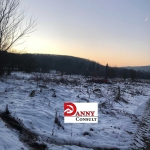 Парцел в Велико Търново, Акация - 24200 кв.м за 5 €/кв.м - Снимка #1