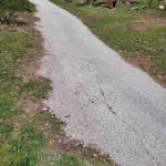 Парцел в Лъки - 1150 кв.м за 17 €/кв.м - Снимка #1