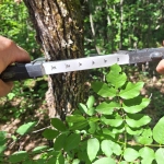 Земеделски имот в София, Карпузица -  кв.м за 450 €/дка - Снимка #1