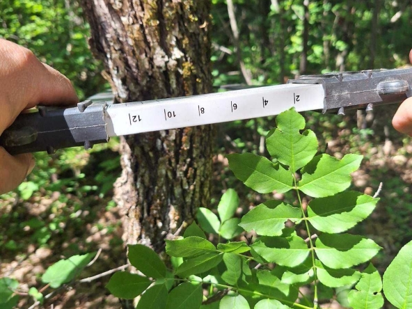 Земеделски имот в София, Карпузица -  кв.м за 450 €/дка - Снимка #1