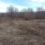 Парцел в с. Пороище, Област Разград - 2200 кв.м за 8 €/кв.м - Снимка #1