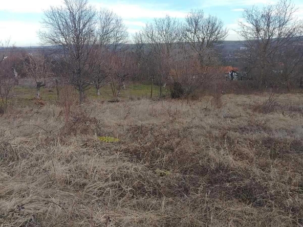 Парцел в с. Пороище, Област Разград - 2200 кв.м за 8 €/кв.м - Снимка #1