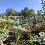 Къща в с. Трояново, Област Бургас - 80 кв.м за 563 €/кв.м - Снимка #1