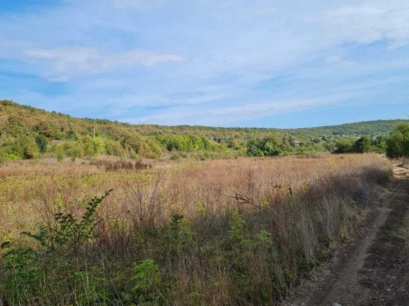 Земеделски имот в с. Прилеп, Област Добрич -  кв.м за 2158 €/дка - Снимка #1