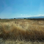 Парцел в с. Войводиново, Област Пловдив - 4930 кв.м за 7 €/кв.м - Снимка #1