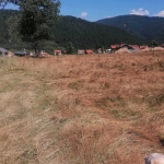 Земеделски имот в с. Говедарци, Област София-област -  кв.м за 22500 €/дка - Снимка #1