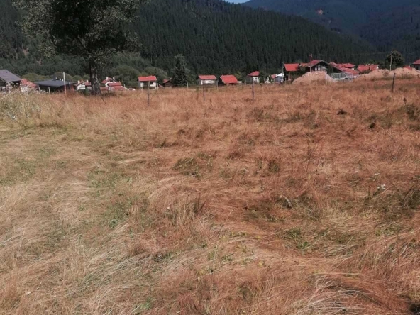 Земеделски имот в с. Говедарци, Област София-област -  кв.м за 22500 €/дка - Снимка #1