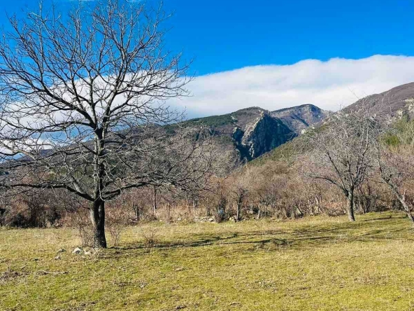 Парцел в Карлово - 2490 кв.м за 4 €/кв.м - Снимка #1