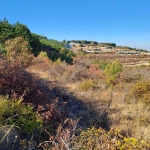 Парцел в с. Брестовица, Област Пловдив - 950 кв.м за 7 €/кв.м - Снимка #1