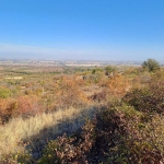 Парцел в с. Брестовица, Област Пловдив - 950 кв.м за 7 €/кв.м - Снимка #1