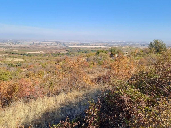 Парцел в с. Брестовица, Област Пловдив - 950 кв.м за 7 €/кв.м - Снимка #1