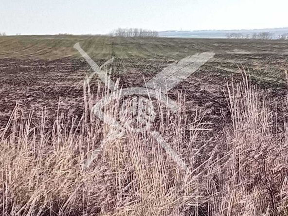 Парцел в Приморско - 7000 кв.м за 2 €/кв.м - Снимка #1