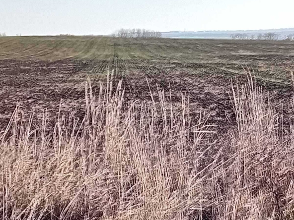 Земеделски имот в Бургас, Ветрен -  кв.м за 13 €/дка - Снимка #1