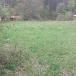 Парцел в с. Рибарица, Област Ловеч - 3479 кв.м за 1 €/кв.м - Снимка #1