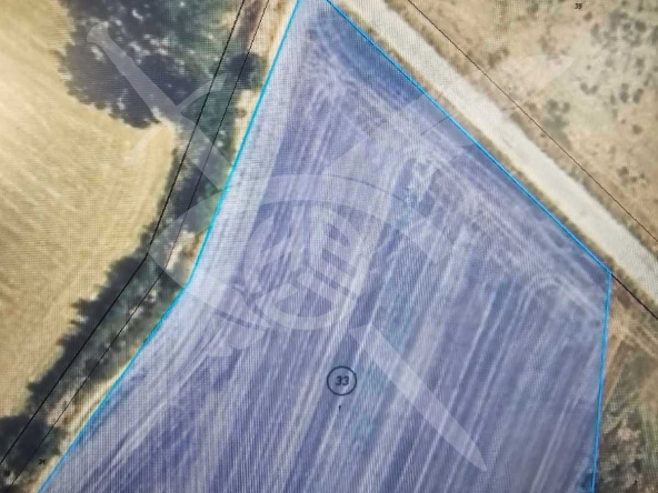 Парцел в с. Труд, Област Пловдив - 9022 кв.м за 17 €/кв.м - Снимка #1